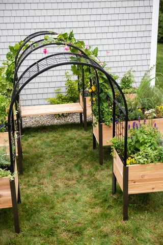  || https://assets.gardeners.com/transform/a0380bb3-1dc6-4f1a-8091-1bc43231db4e/8613463_0407