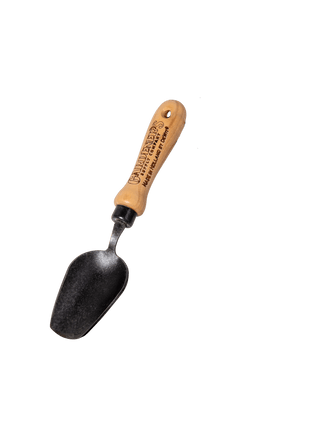  || https://assets.gardeners.com/transform/d16c6967-6e54-459f-9481-f3bb4c17f954/8613470_7960