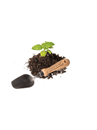  || https://assets.gardeners.com/transform/e4469fb8-0c2e-4a5b-9b1a-893b180e6881/8613470_9910