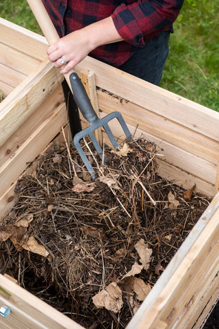  || https://assets.gardeners.com/transform/ff10a8d9-1195-4c30-abcc-a1be615118fd/8613473_0142
