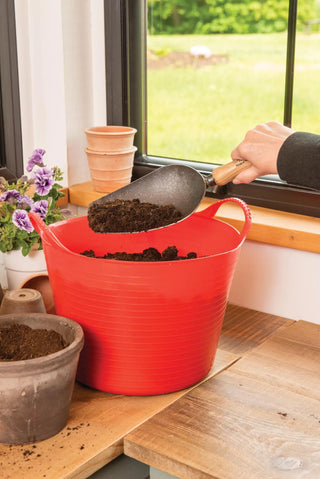  || https://assets.gardeners.com/transform/cf524e40-592e-46df-9718-169964dc7f99/8613474_0159