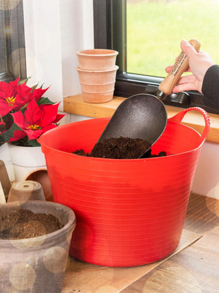  || https://assets.gardeners.com/transform/f070a606-58ac-48ec-a76c-4f3f0902a6ef/8613474_0160_holiday