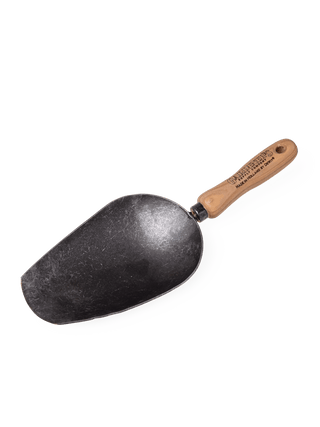  || https://assets.gardeners.com/transform/1b9a4e1c-6e19-400b-ae46-036953fda2af/8613474_7956