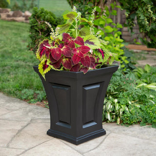  || https://assets.gardeners.com/transform/0b3ca0ce-3df1-4cab-8953-0f4e331f564b/8613523_03V