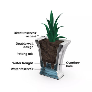  || https://assets.gardeners.com/transform/839c9513-4763-4bd7-93aa-d268501e1d41/8613523_04V