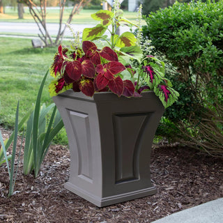  || https://assets.gardeners.com/transform/96b91fea-5c6e-4501-825a-046e8bfc4b0c/8613523_06V