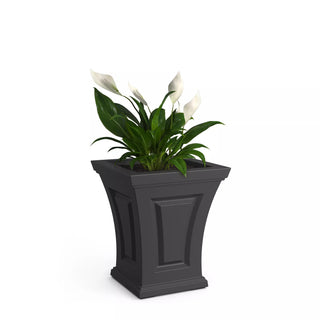  || https://assets.gardeners.com/transform/9138ab9e-445c-41dd-b4d1-6ce5046202b2/8613523_07V