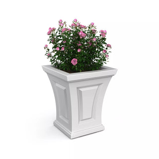  || https://assets.gardeners.com/transform/0d5b0bd2-578a-4509-a0b1-698c1416cbd8/8613523_11V