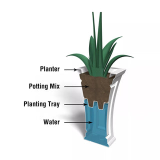  || https://assets.gardeners.com/transform/5ba328eb-9a1f-4543-a196-994ef24e5174/8613524_03V