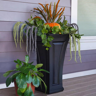  || https://assets.gardeners.com/transform/0b7fa37a-ffbf-47e9-a09c-ccc6b806de83/8613524_06V