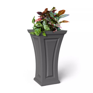  || https://assets.gardeners.com/transform/5044dee0-6522-4a8b-92ac-0679abb5df95/8613524_07V