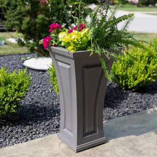  || https://assets.gardeners.com/transform/80363406-09a7-4f06-be8e-63b2ee5bde68/8613524_08V