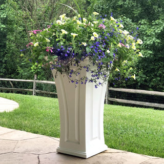  || https://assets.gardeners.com/transform/457eb6ef-6f29-46ef-9a40-8788556aed5f/8613524_13V