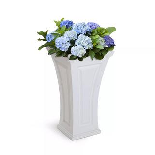  || https://assets.gardeners.com/transform/e188074c-0656-44e1-ac83-1f2cf3b33006/8613524_14V