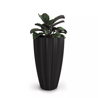  || https://assets.gardeners.com/transform/50db6e62-01c2-4b16-b17d-df995eff48f0/8613525_03V