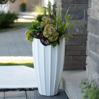  || https://assets.gardeners.com/transform/27b78633-6831-4cc6-8a67-937e88040f29/8613525_05V