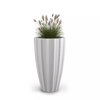  || https://assets.gardeners.com/transform/2bea3917-1eda-46eb-82b4-d1cf95df9f4e/8613525_06V
