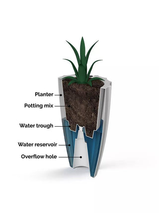  || https://assets.gardeners.com/transform/5ce83660-4acb-43b1-9042-c5a65da0fdab/8613525_09V_3-4