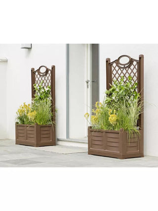  || https://assets.gardeners.com/transform/f332bd28-15e3-433b-8d96-efcdcb6bbdd0/8613626_02V