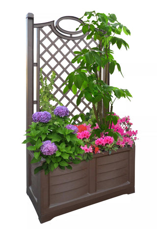  || https://assets.gardeners.com/transform/a556e92b-bef7-475e-9cb4-358b4a6c0e3d/8613626_04V