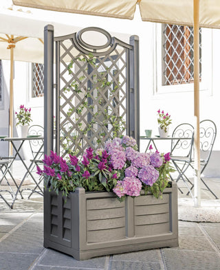  || https://assets.gardeners.com/transform/92a0b9b9-9ca9-4098-9c66-c8ad443f2baa/8613626_07V