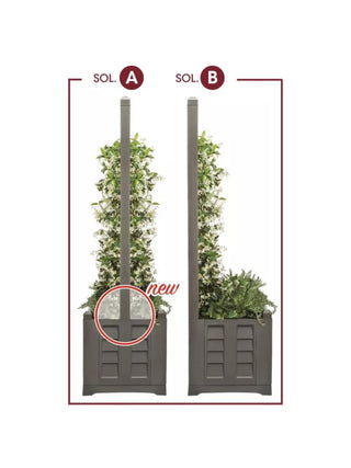  || https://assets.gardeners.com/transform/6b38d60a-f0ab-4fa7-a4ae-a12723f82d4f/8613626_08V