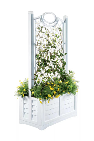  || https://assets.gardeners.com/transform/b92d8d0b-2324-4bee-8015-71c948f08d0b/8613626_14V