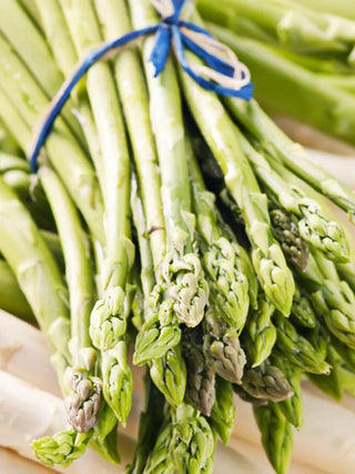  || https://assets.gardeners.com/transform/6d008334-7260-4a9f-89c1-78ddaff0747c/8613803_01V_3-4_van-zyverden-gmo-free-asparagus-jersey-giant
