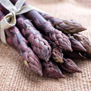  || https://assets.gardeners.com/transform/a06bae07-6999-465a-8fd0-6673e76f724c/8613805_01V_van-zyverden-asparagus-purple-passion