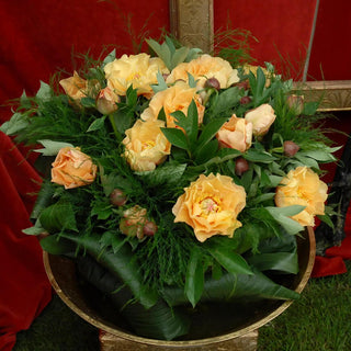  || https://assets.gardeners.com/transform/1ca58c91-c505-4c8c-8c04-f99660a54b68/8613907_03V