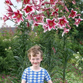  || https://assets.gardeners.com/transform/71913f1e-c5b0-4cb3-ba8e-98baaaf54377/8613983_04V