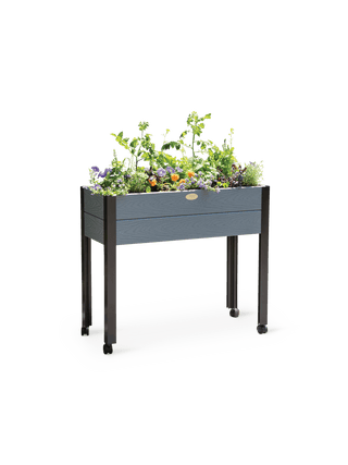  || https://assets.gardeners.com/transform/d573c2ee-7e96-455f-8078-4b4616ec849a/8614037_01277