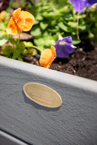  || https://assets.gardeners.com/transform/a5974432-a17c-4a41-8b21-4a66153e5399/8614037_1104