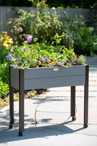  || https://assets.gardeners.com/transform/a0785e27-5fd6-4d21-be46-58605a67e828/8614037_1277