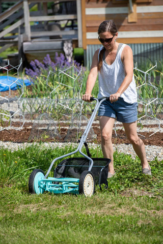  || https://assets.gardeners.com/transform/725008a2-df27-44c5-b5b8-b69e215928cd/8614082_0048
