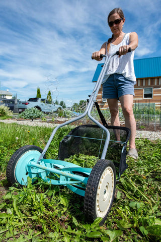  || https://assets.gardeners.com/transform/a43429d7-ea2b-4180-a538-f2423c086bc5/8614082_0078