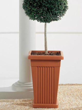 || https://assets.gardeners.com/transform/e729f813-942e-4a9c-84aa-1bc62ef9f9e9/8614083_01V_3-4