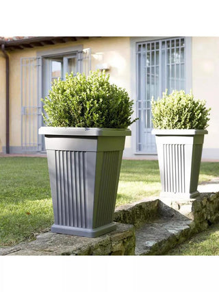  || https://assets.gardeners.com/transform/b3a8528a-d141-44f8-8255-63e0dd7c36ec/8614083_04V_3-4