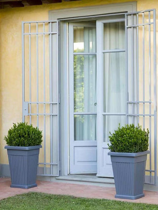  || https://assets.gardeners.com/transform/aece86b7-1fa9-4329-a2bd-937bc1c8bb62/8614083_05V_3-4