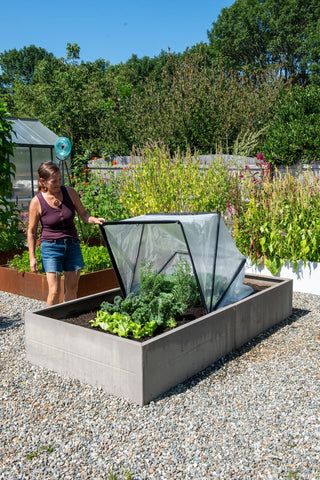  || https://assets.gardeners.com/transform/8f7aac1d-1c7b-4d40-97eb-936e719cd390/8614105_0011