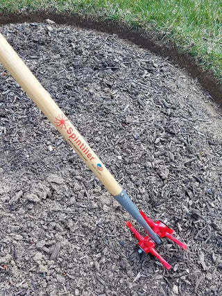  || https://assets.gardeners.com/transform/5a859848-57a5-4c9a-b0bd-f5d465987e9d/8614157_01V_3-4