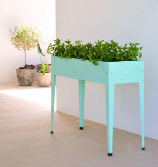  || https://assets.gardeners.com/transform/963682e3-5acf-4451-af1d-995524c1e663/8614309_04V