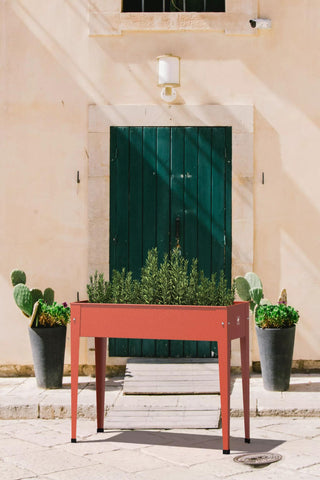  || https://assets.gardeners.com/transform/248ca853-2160-4826-97ae-80fe141f3b33/8614309_06V