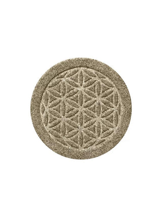  || https://assets.gardeners.com/transform/d6ded0b5-336a-4e45-b49f-ef03bab1ce5e/8614321_01V_3-4