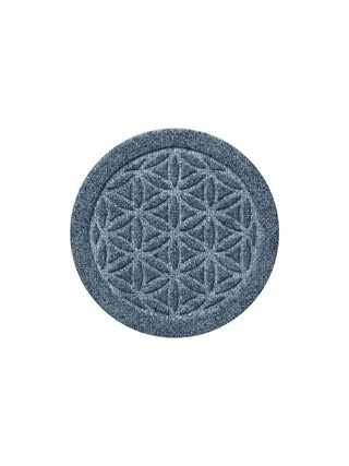  || https://assets.gardeners.com/transform/725deac9-2f40-41bd-98a6-010067d5c6bf/8614321_02V_3-4