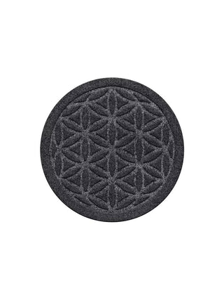  || https://assets.gardeners.com/transform/ecc8a17a-e339-4005-a90b-f0ccc6a38b98/8614322_02V_3-4