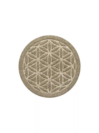  || https://assets.gardeners.com/transform/9d18a84f-fef7-4431-a34b-34f1dca79de8/8614322_03V_3-4