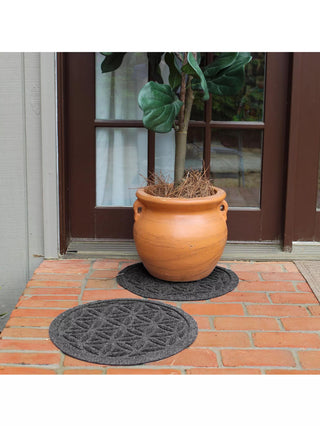  || https://assets.gardeners.com/transform/5afe46d3-ad5a-4234-9b4f-343164d6fbc5/8614322_06V