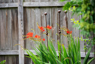  || https://assets.gardeners.com/transform/abfc1307-8eb2-42a2-a5fd-725b03ed2d4d/8614353_0076_jardin-plant-stakes-60-inch-set-of-3