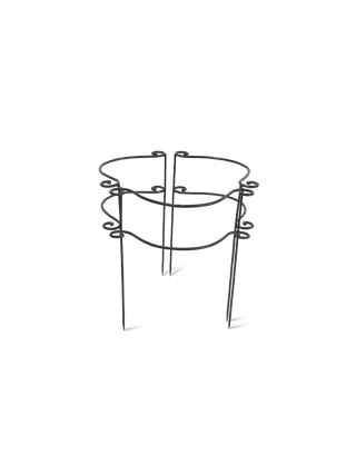  || https://assets.gardeners.com/transform/6c4792ac-d908-4ca0-b3fb-bcc4c59f2448/8614371_10484